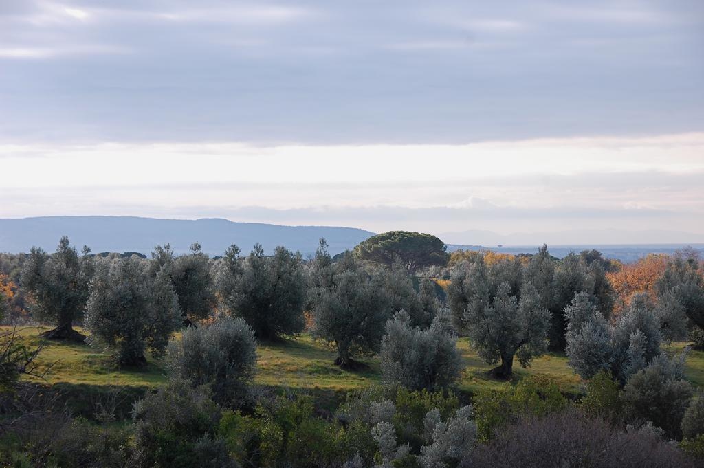 Agriturismo Quattro Pini Villa Castagneto Carducci Exterior photo